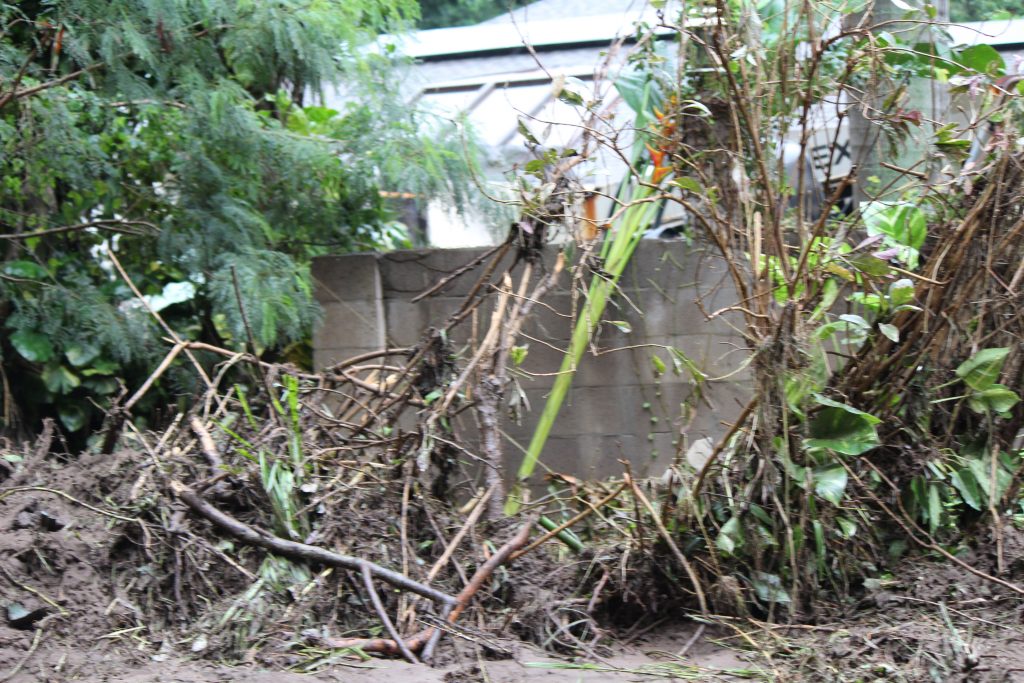ʻĪao Valley, erosion and flood debris from flash flood. PC: 9.14.16 by Wendy Osher.