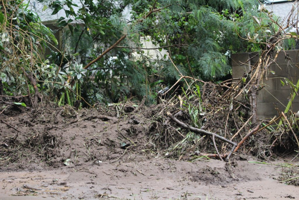 ʻĪao Valley, erosion and flood debris from flash flood. PC: 9.14.16 by Wendy Osher.