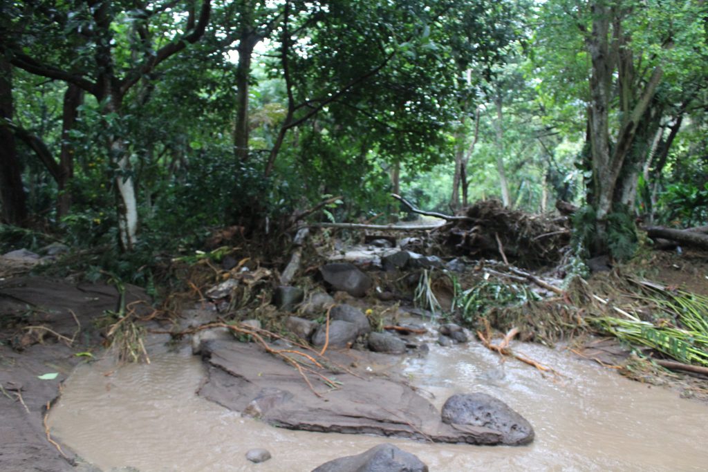 ʻĪao Valley, erosion and flood debris from flash flood. PC: 9.14.16 by Wendy Osher.