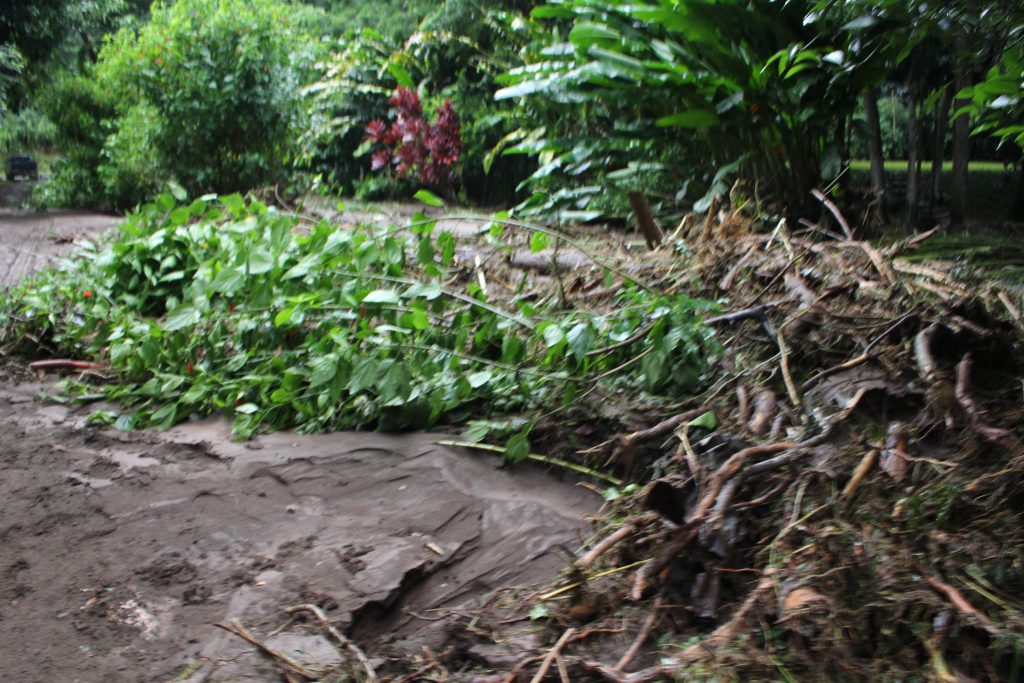 ʻĪao Valley, erosion and flood debris from flash flood. PC: 9.14.16 by Wendy Osher.