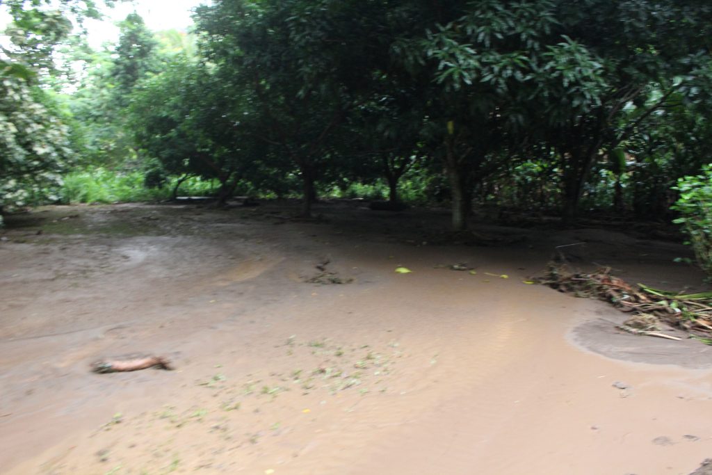ʻĪao Valley, erosion and flood debris from flash flood. PC: 9.14.16 by Wendy Osher.