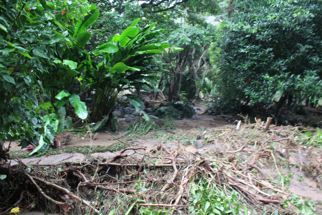 ʻĪao Valley, erosion and flood debris from flash flood. PC: 9.14.16 by Wendy Osher.