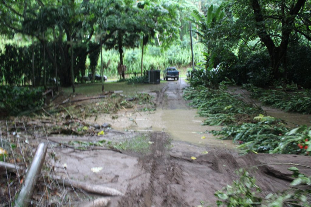 ʻĪao Valley, erosion and flood debris from flash flood. PC: 9.14.16 by Wendy Osher.