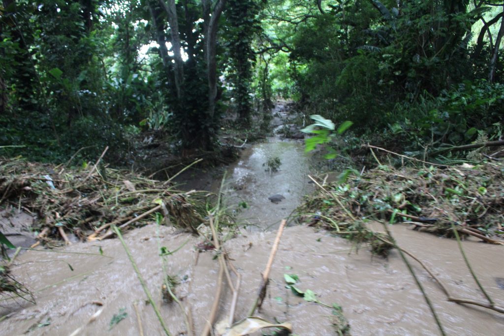 ʻĪao Valley, erosion and flood debris from flash flood. PC: 9.14.16 by Wendy Osher.