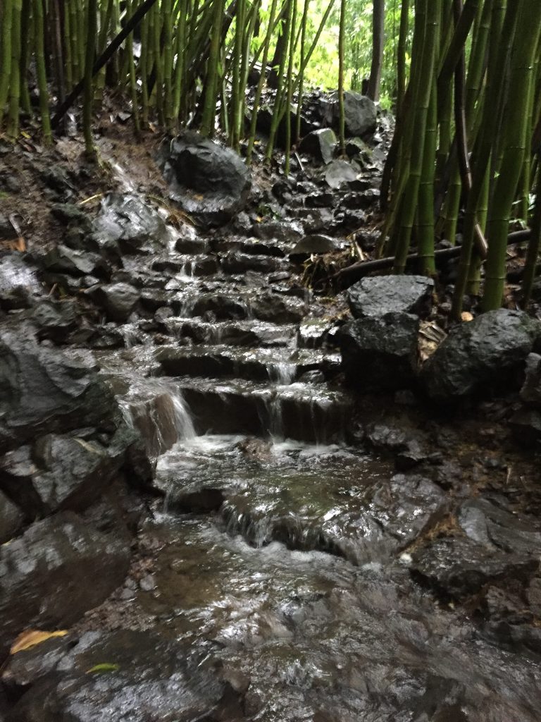 The last 1/2 mile of the Pīpīwai Trail, including the viewpoint for Waimoku Falls, is closed due to downed trees.