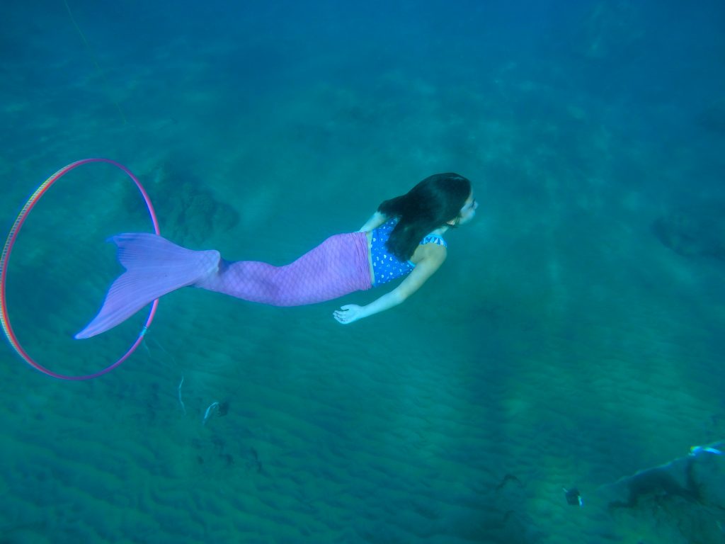 Photo credit: Hawaiʻi Mermaid Adventures