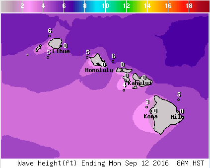 NWS
