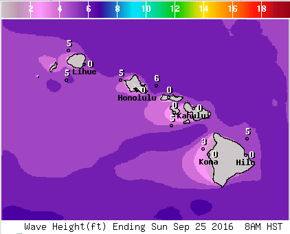 NWS