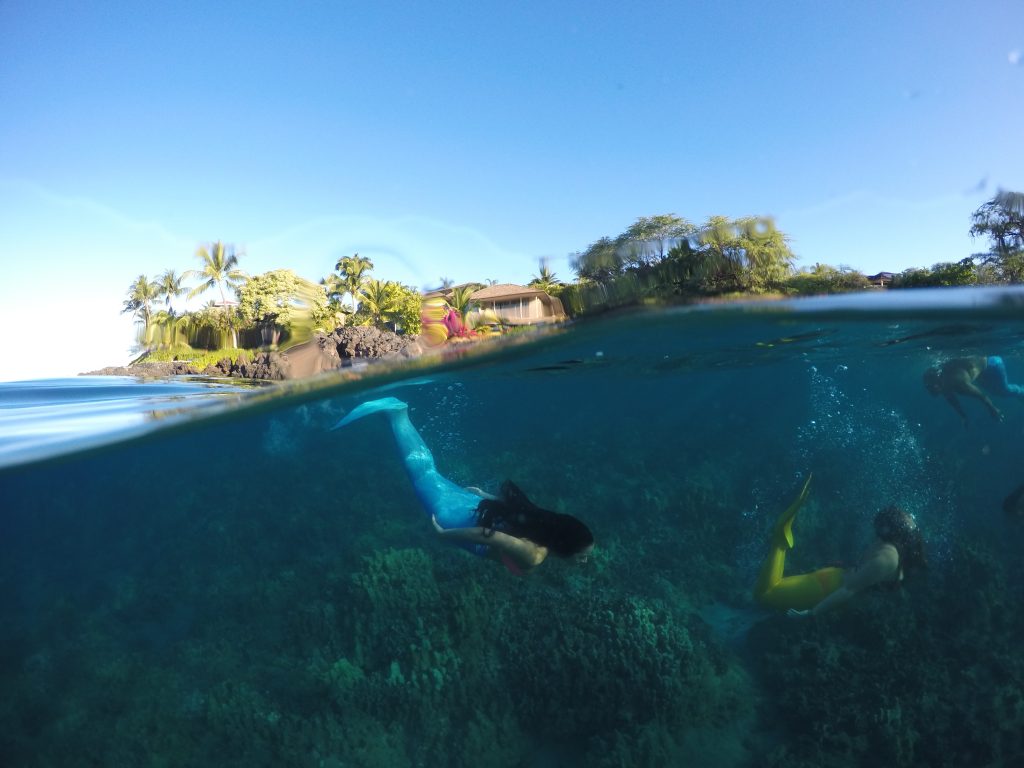 Photo credit: Hawaiʻi Mermaid Adventures