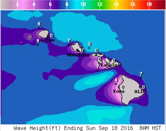 NWS