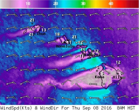 wind-8am