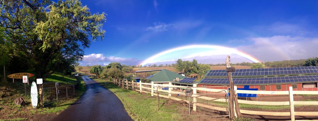 Here's a pic of the Surfing Goat Dairy with the perfect depiction of "The Calm Before The Storm" PC: Lucas Board