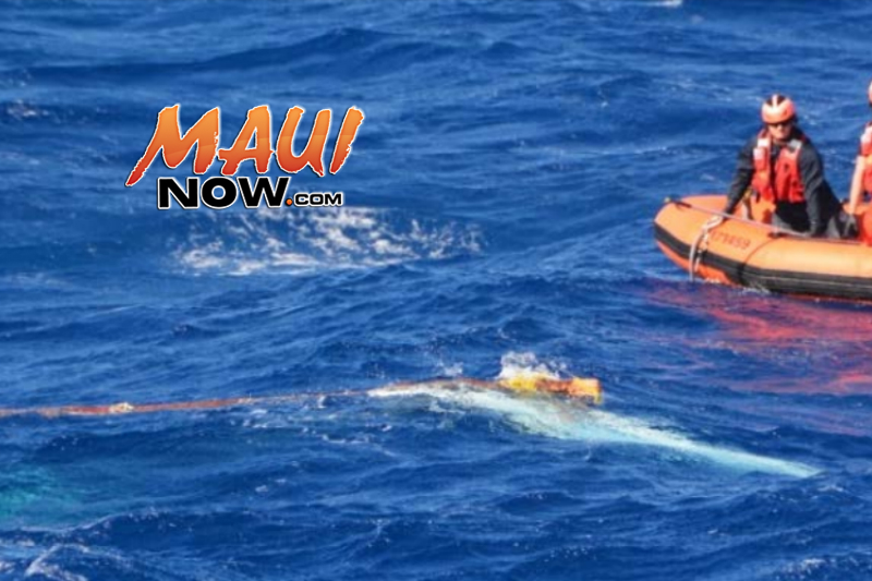 KOLINA mast in water with yellow heaving line wrapped around (Exhibit 81) Image: US Coast Guard, Final Action Report.