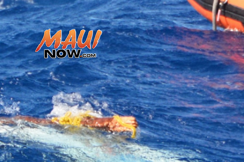 Heaving line and splintered end of the mast (Exhibit 81 - zoomed in) Image: US Coast Guard, Final Action Report.