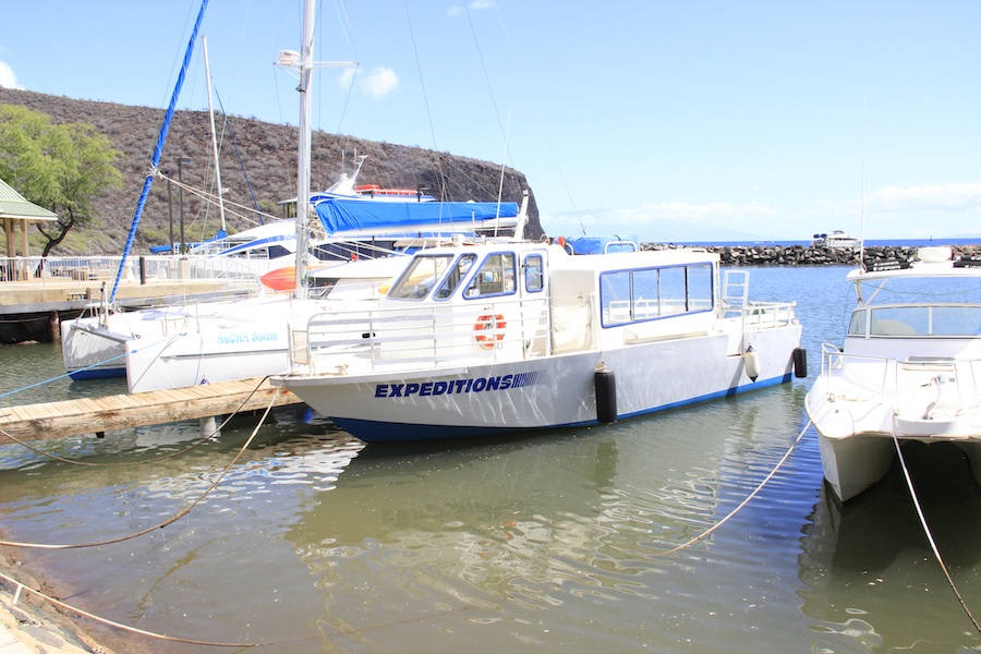 Expeditions Six. PC: Marlo Antes.