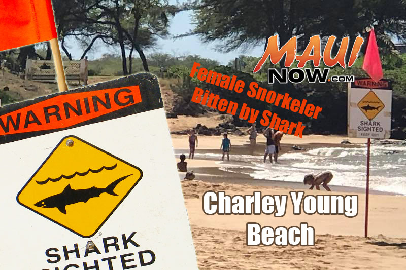 Shark sighting signs posted at Kamaole III, 10.14.16. Background photo: Nik Izbicki. Maui Now graphics.