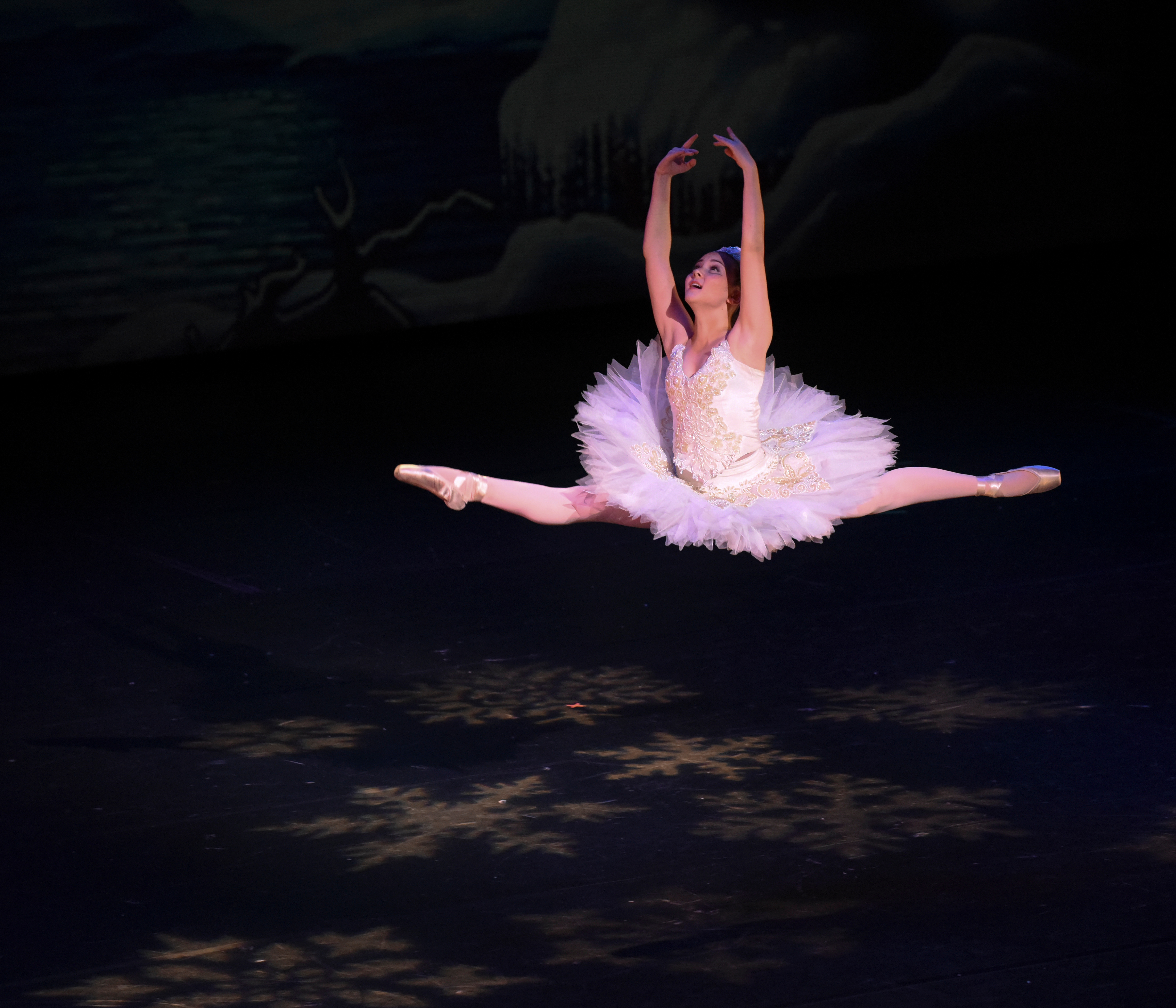 MAPA Nutcracker. (2014) PC: Lorne Direnfeld