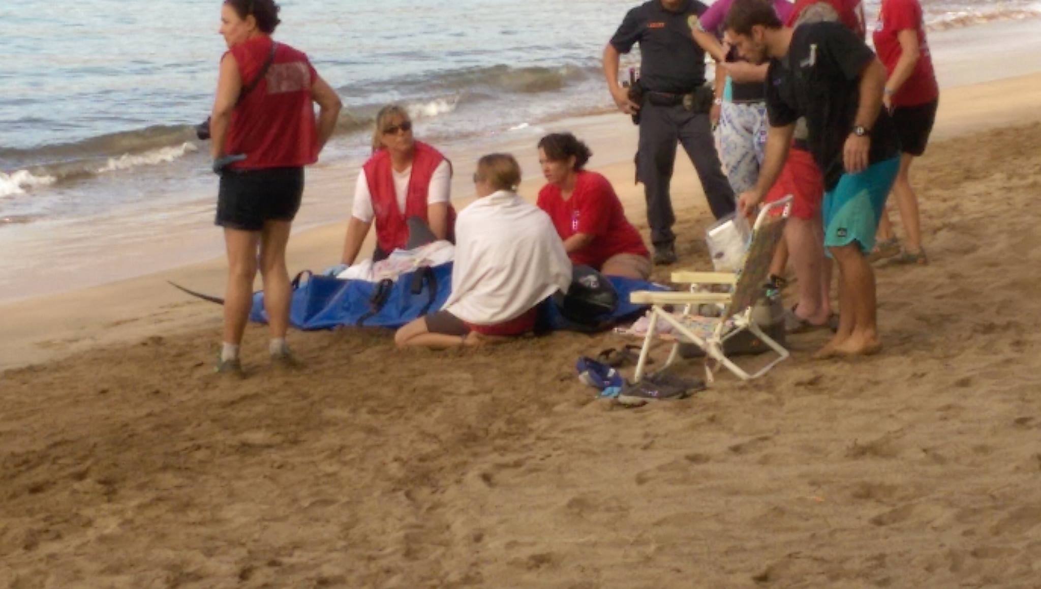 Marine mammal rescue at Sugar Beach in South Maui, 11.22.16. PC: Scot Prince