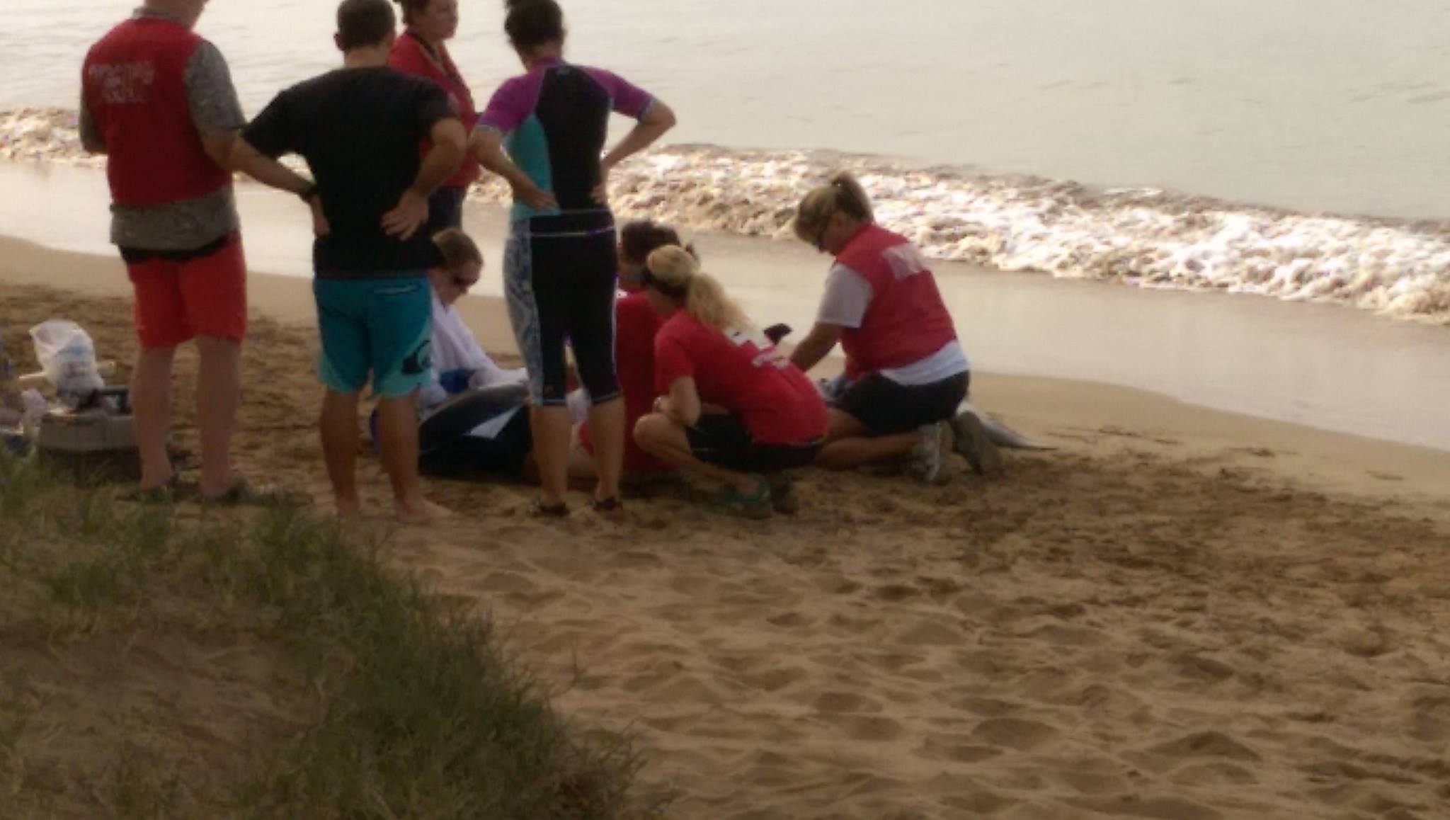 Marine mammal rescue at Sugar Beach in South Maui, 11.22.16. PC: Scot Prince