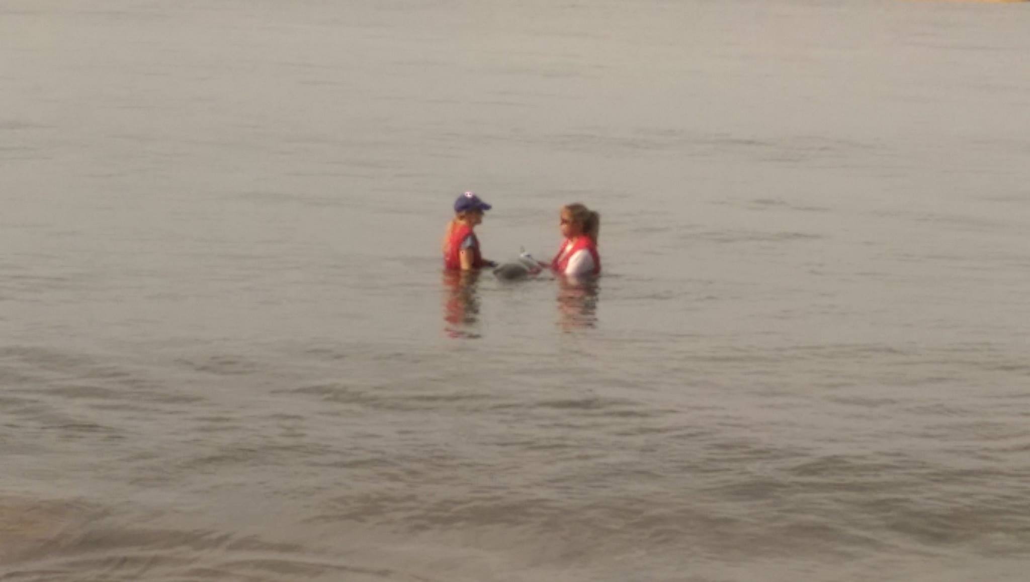 Marine mammal rescue at Sugar Beach in South Maui, 11.22.16. PC: Scot Prince