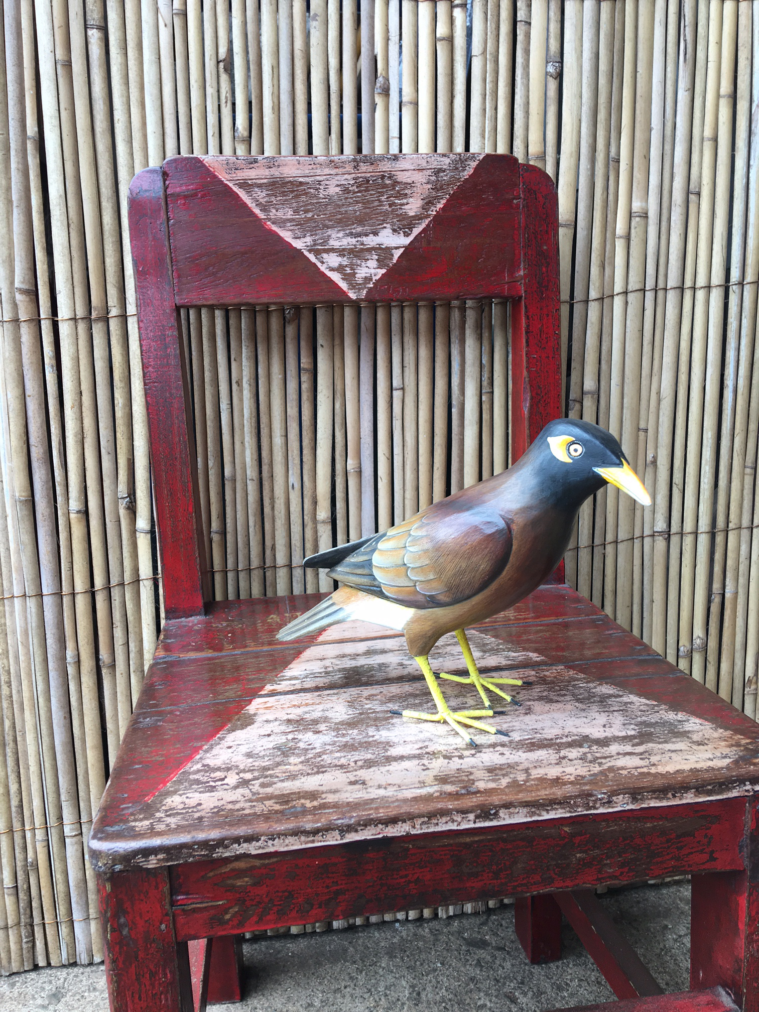 Duck Soup Maui exported goods from Bali. Mynah and chair.