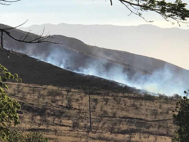 Olowalu brush fire 11.23.16. PC: Kaila.