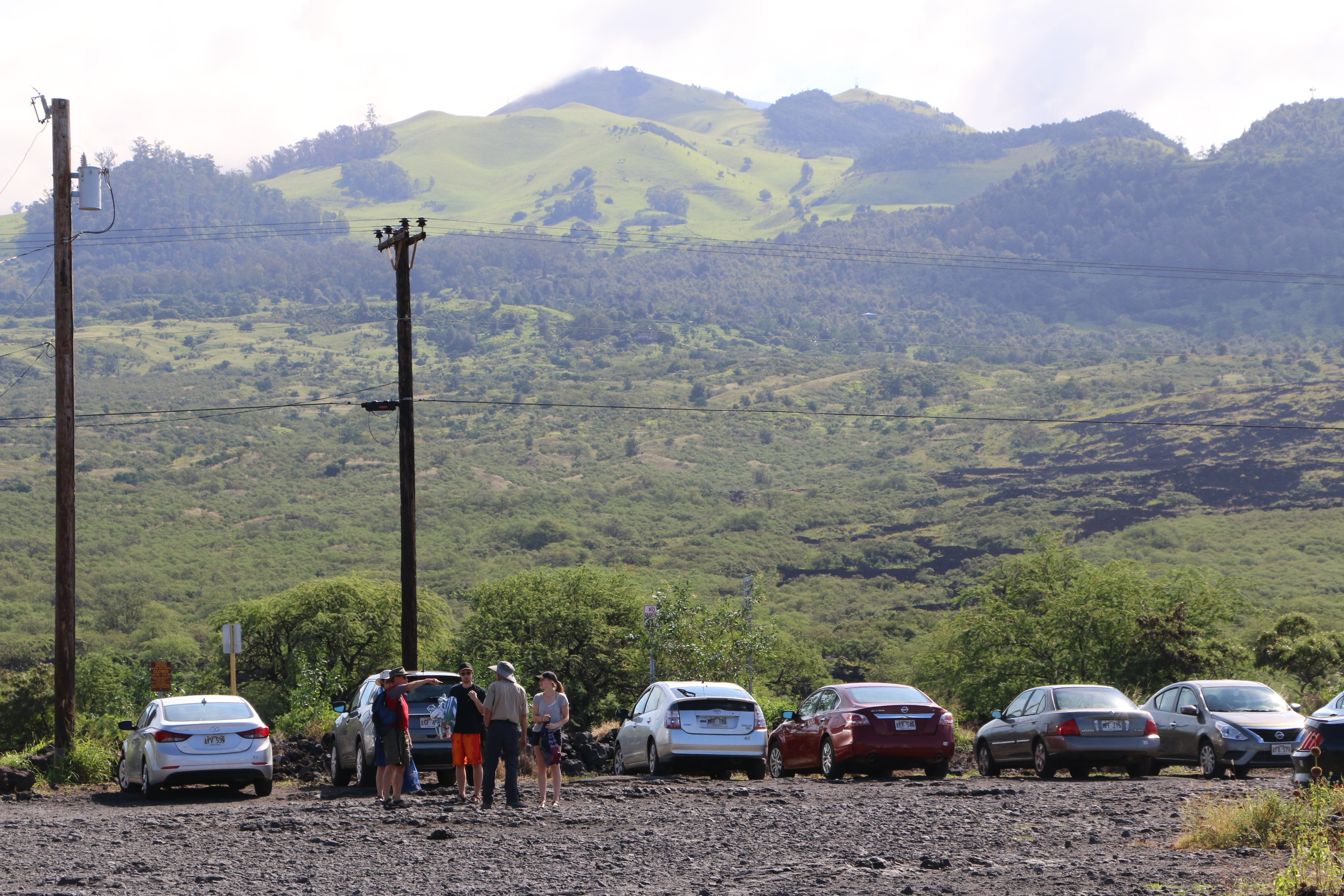 ʻĀhihi-Kinaʻu Natural Area Reserve. Image: DLNR.