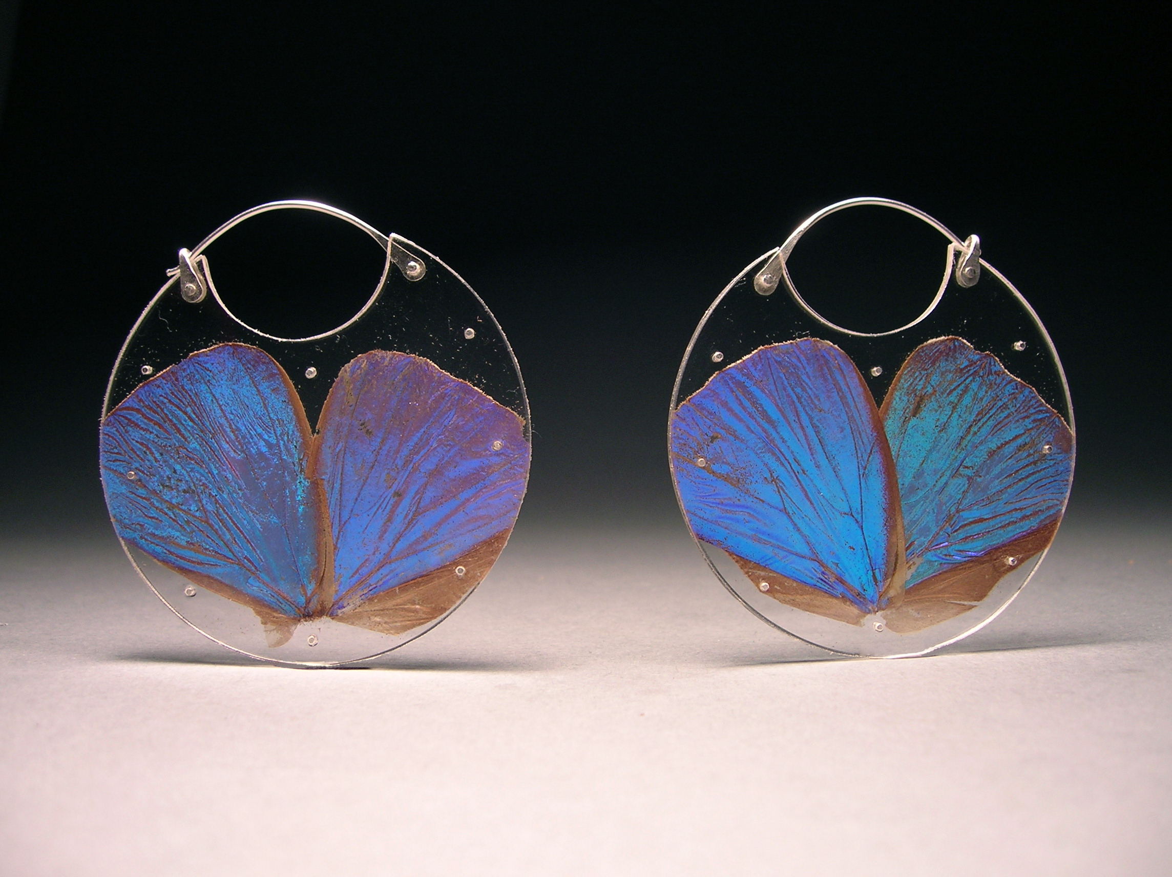 Luana Coonen MORPH Large Morpho Encasement Earrings