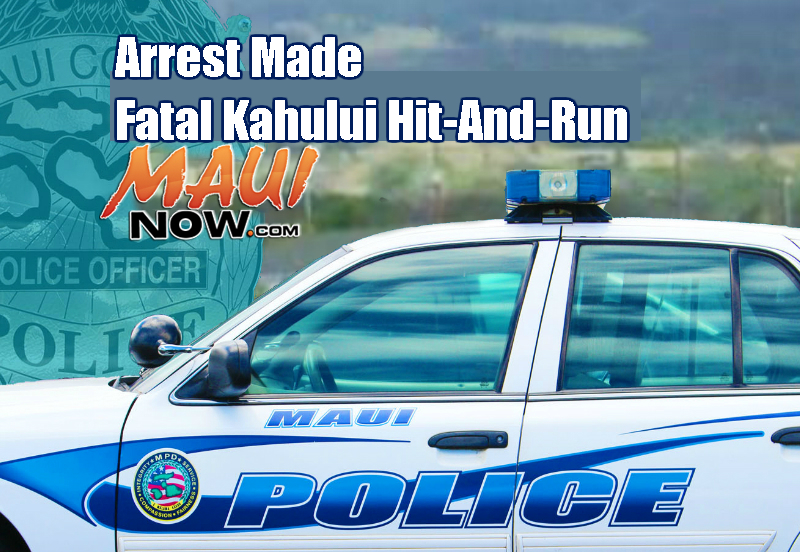 Maui Now graphic.
