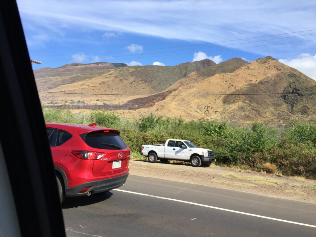 Olowalu brush fire 11.23.16. PC: D. Duey.