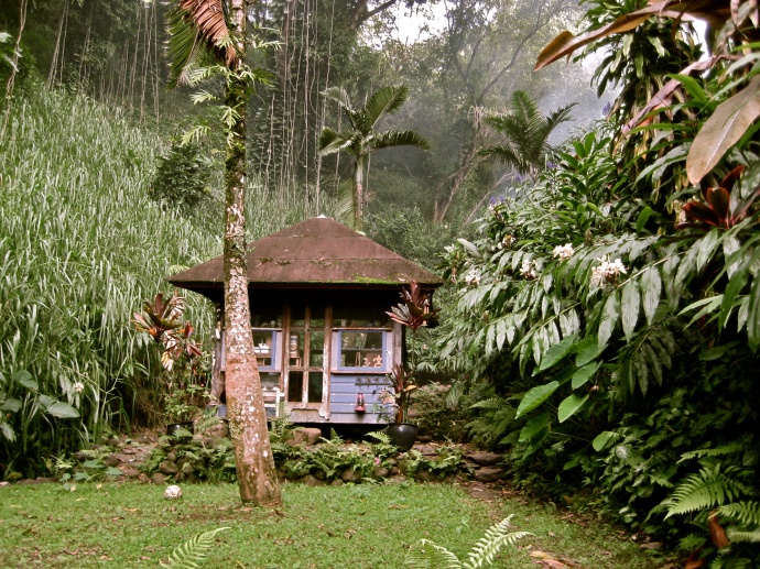 VIDEO Woman Embraces OffGrid Maui Jungle Lifestyle Maui Now