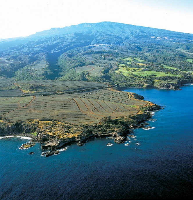 Meeting TONIGHT On Interim Plans For Managment Of L poa Point Maui Now