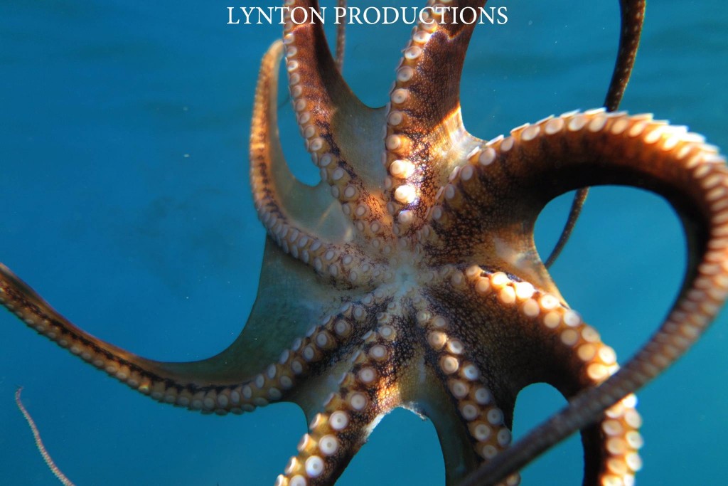 How To Secure Your Property When A Gale Warning Is In Effect