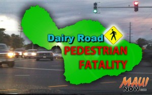 Dairy Road pedestrian fatality. Maui Now graphic.