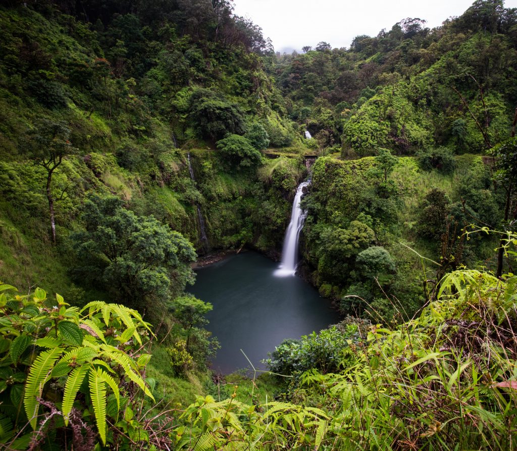 The Numbers Behind the Upcountry Water Shortage Maui Now