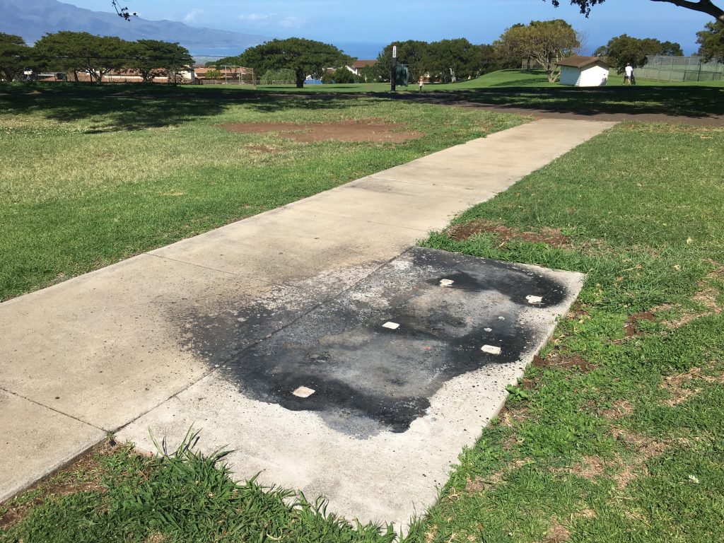 Ask the Mayor What is Being Done to Catch Pukalani Park Arsonists