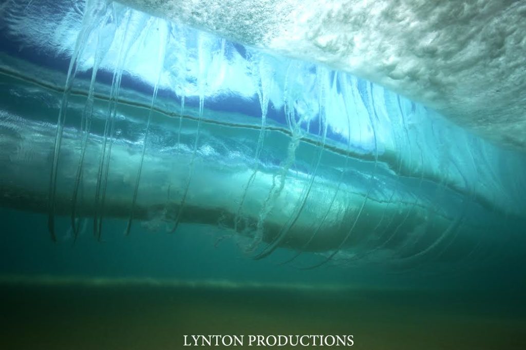 Maui County Weekend Surf Forecast Maui Now