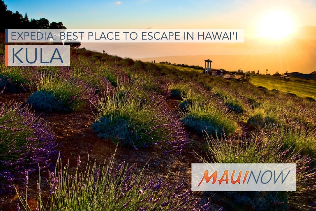 Expedia Kula is Best Place to Escape to in Hawaiʻi Maui Now