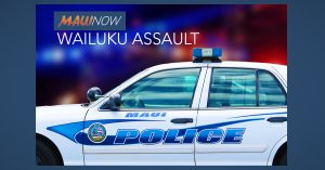 Video evidence surfaces in Waiehu Beach Road assault investigation