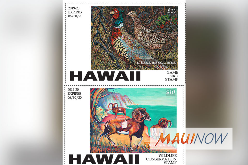 Hawaiʻi Hunting Stamp Contest Winners Announced Maui Now