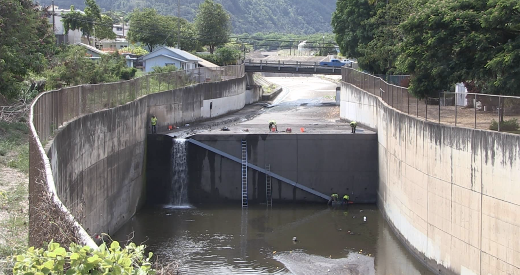 Hundreds of Dead 'O'opu During Fish Ladder Construction at Wailuku River - Maui Now
