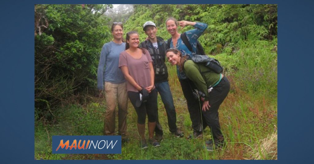 UH: Forest Conservation Could Save $1.4M to Maui Water - Maui Now