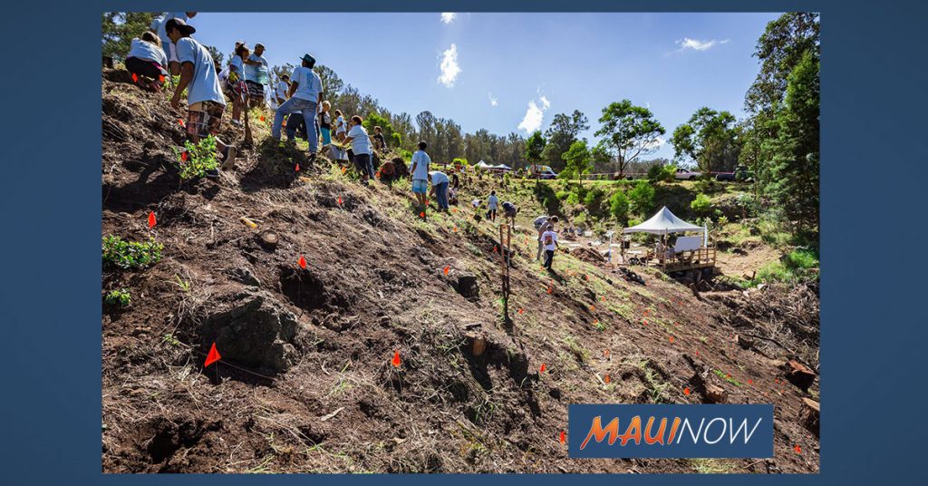 Native Habitat Project Calls for Tree Planting Volunteers This Saturday