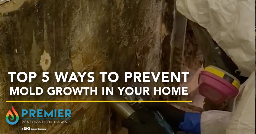 Top 5 Ways to Prevent Mold Growth in Your Home Maui Now