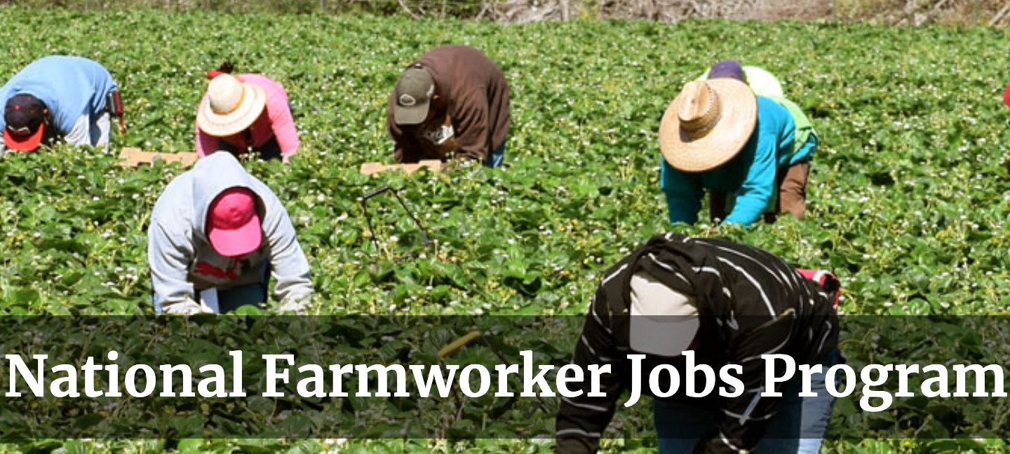 Realtors Association of Maui Community Foundation Now Accepting