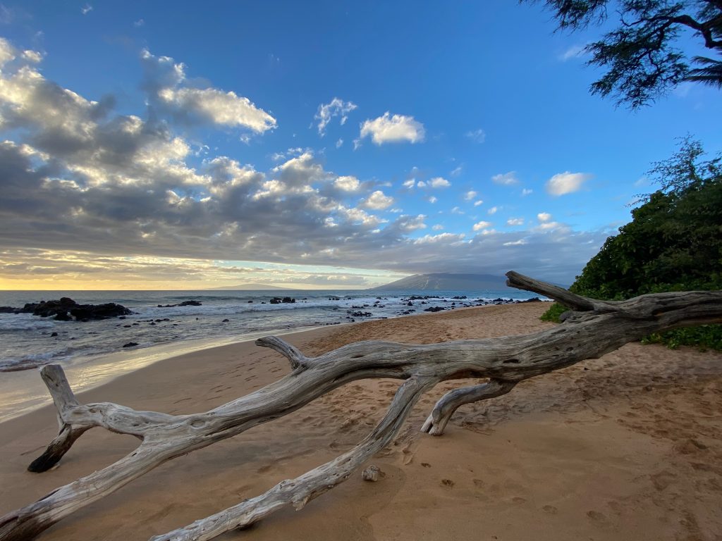 South Maui