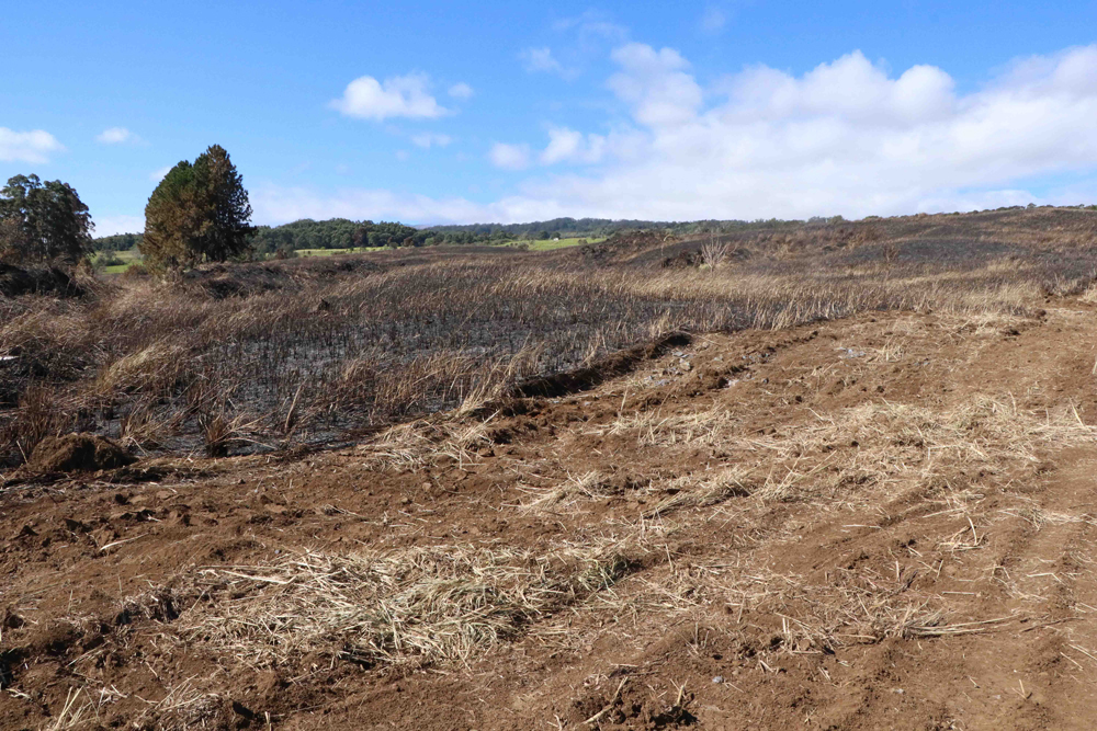 Paʻauilo Fire Highlights Wildfire Risks as Hawaiʻi Faces a Particularly