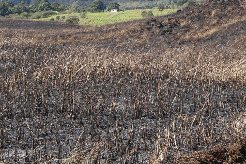 Paʻauilo Fire Highlights Wildfire Risks as Hawaiʻi Faces a Particularly