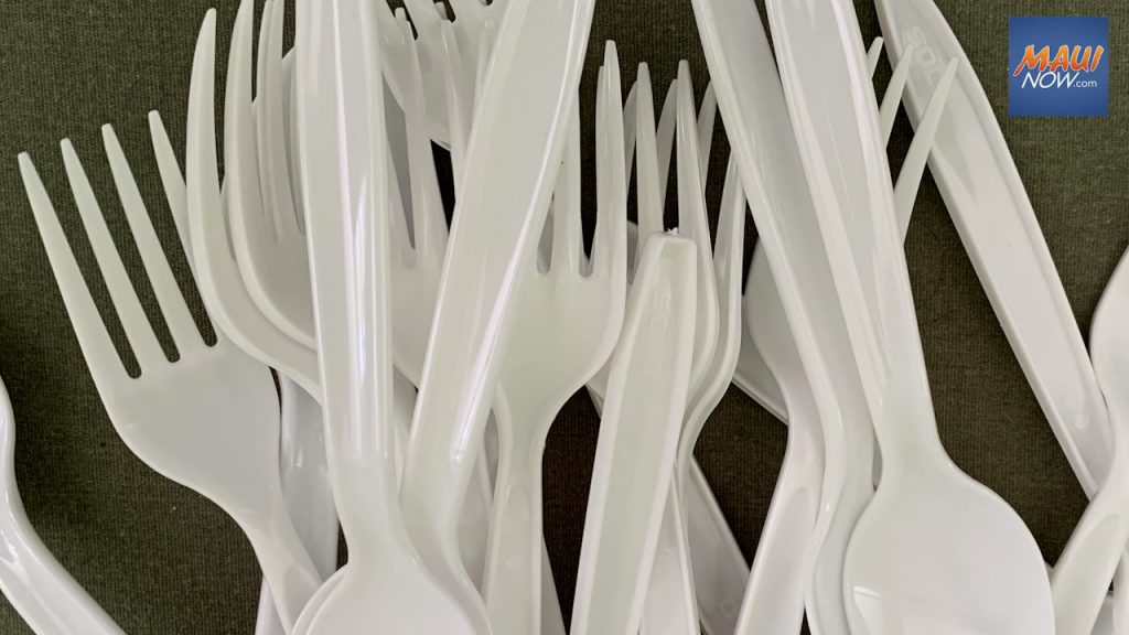 Plate Lunch Be Gone: Styrofoam To-Go Plates Banned In Major City