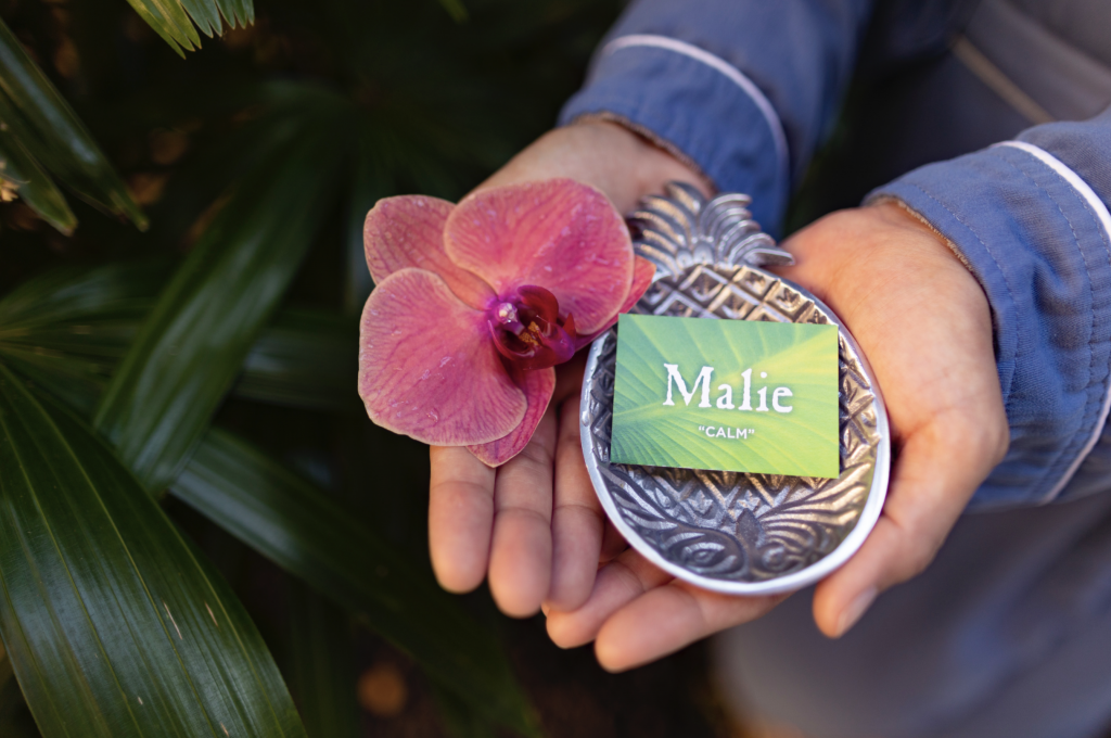 Mother’s Day on Maui Brunch, Spa and Specials Maui Now